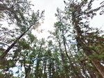 DSCN04980