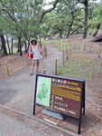 DSCN04982