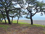 DSCN04983