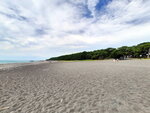 DSCN04988