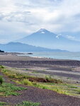 DSCN04995