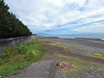 DSCN04996