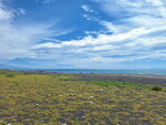 DSCN05005