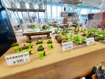DSCN05193