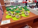 DSCN05194