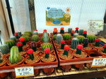 DSCN05197