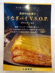 DSCN05203