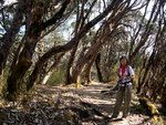 依條路我上次 Poonhill Trek 都行過o架~