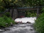 IMG_0507