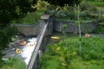 IMG_0515