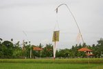 IMG_0531
