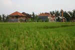 IMG_0534