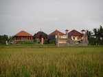 IMG_0536