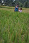 IMG_0537