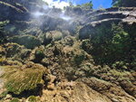 DSCN02180