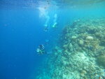 DSCN02923