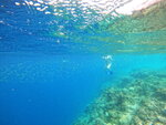 DSCN02929