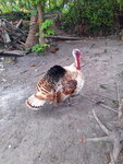 DSCN02991