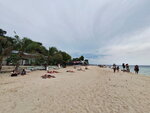 DSCN02994