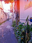 DSCN02693