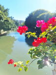 DSCN02963