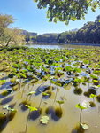 DSCN02964
