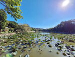 DSCN02965