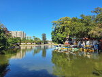 DSCN02966