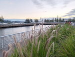 DSCN03011
