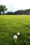 DSCN0676