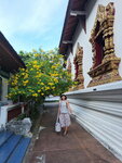 DSCN04194