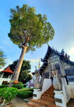 DSCN04202
