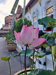 DSCN04210