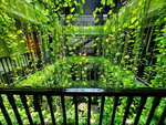 DSCN04286