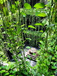 DSCN04290