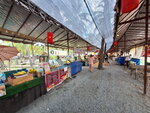 DSCN04320