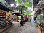 DSCN04848
