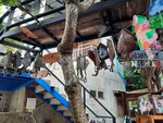 DSCN04880