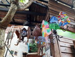 DSCN04882