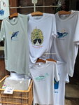 DSCN04887