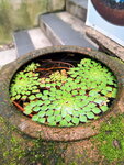 DSCN04899