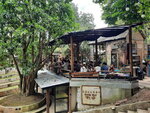 DSCN04905
