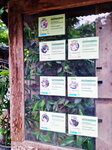 DSCN04908