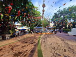 DSCN04954