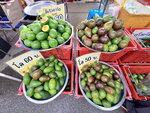 DSCN04961