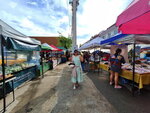 DSCN04964
