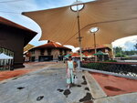 DSCN04986