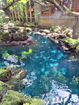 DSCN05043