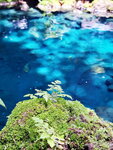 DSCN05044