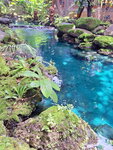 DSCN05045